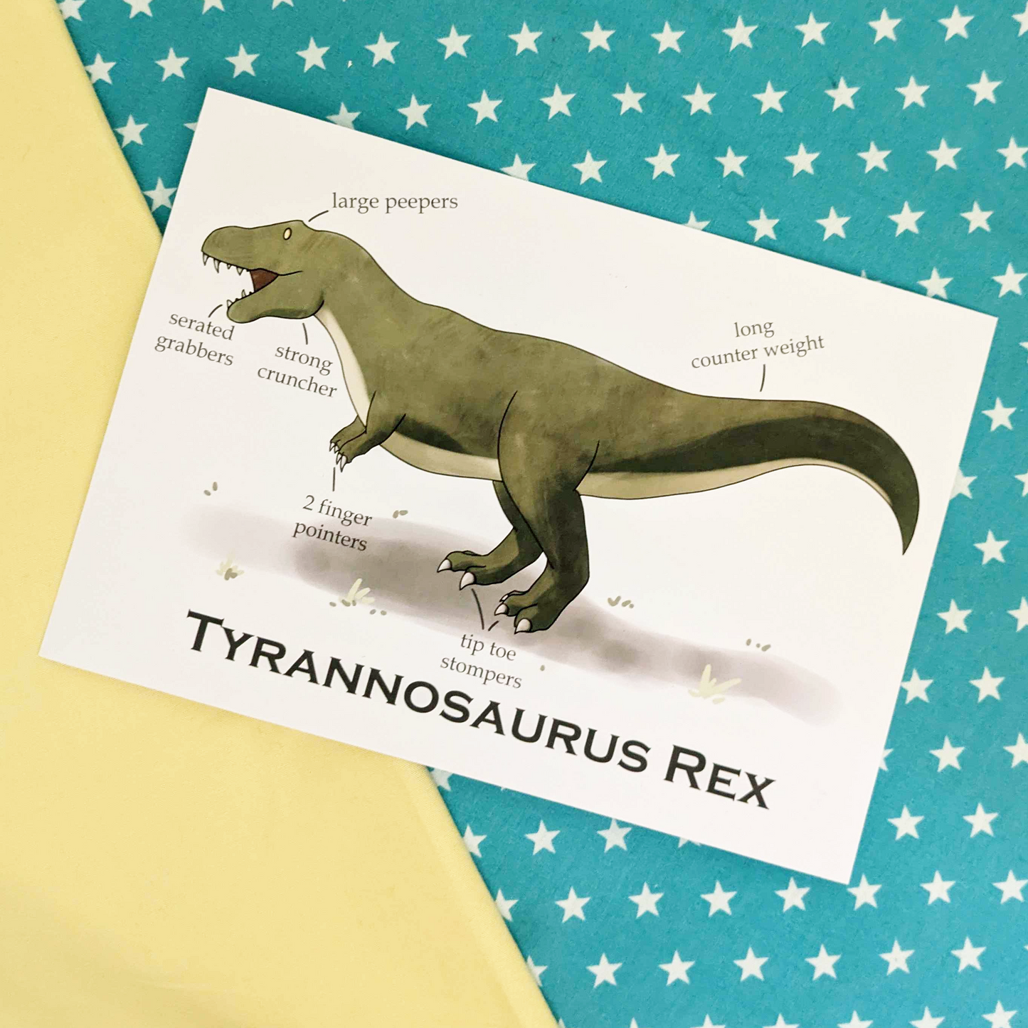 A5 Tyrannosaurus Rex Print