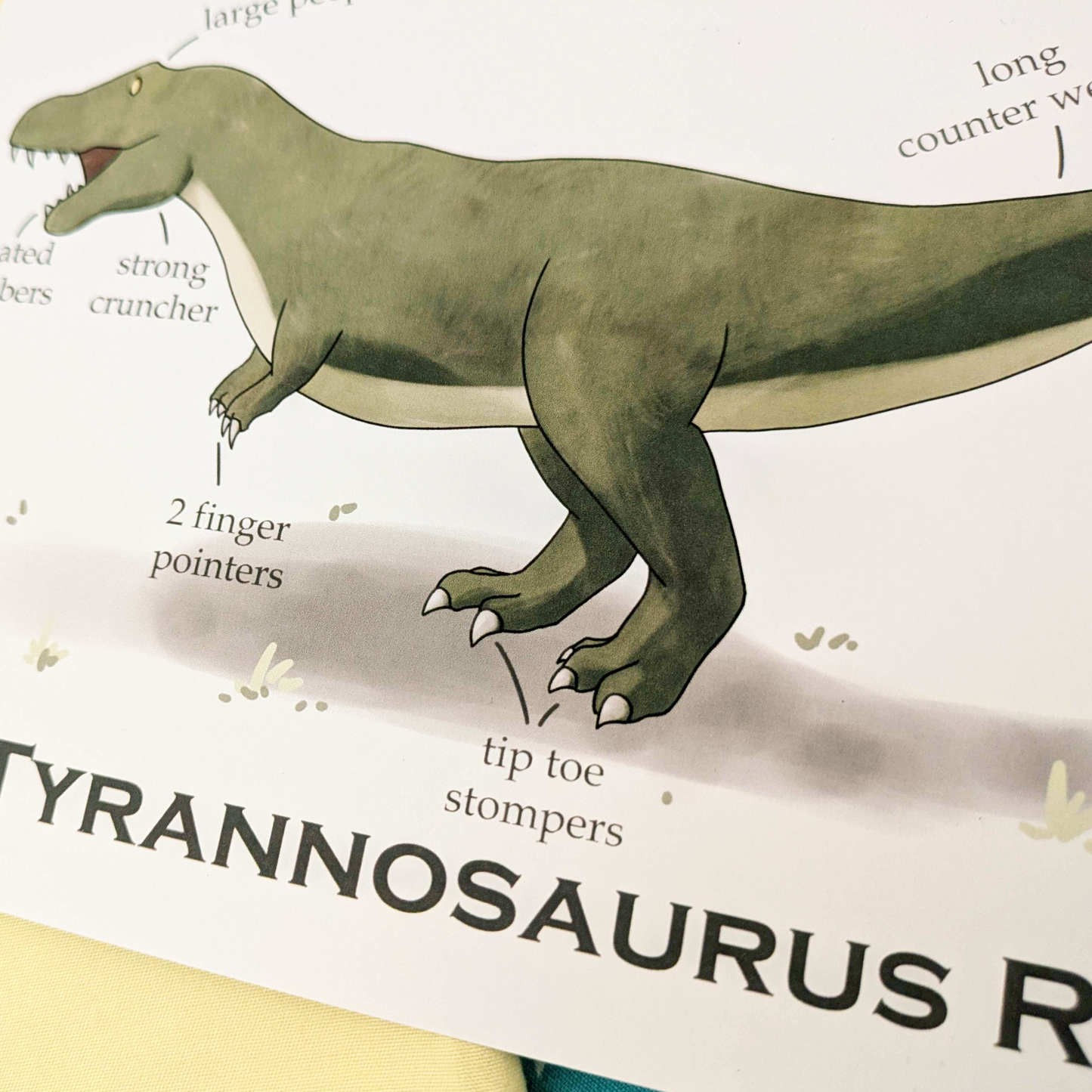 A5 Tyrannosaurus Rex Print