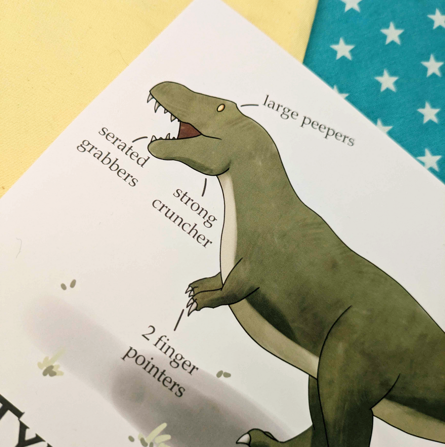 A5 Tyrannosaurus Rex Print