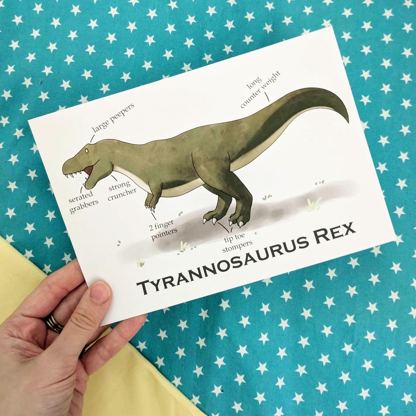 A5 Tyrannosaurus Rex Print
