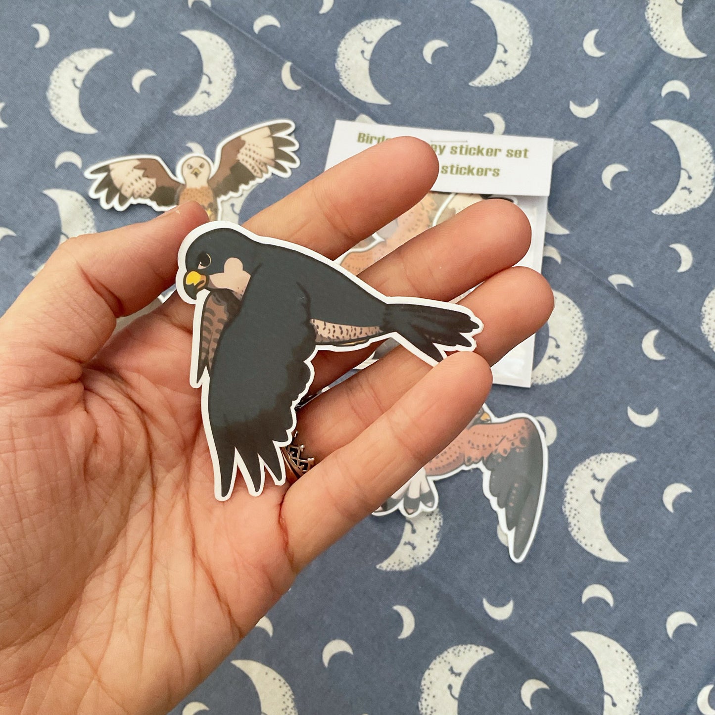 British Bird of Prey Sticker Pack - Peregrine Falcon, Osprey, Red Kite, Kestrel