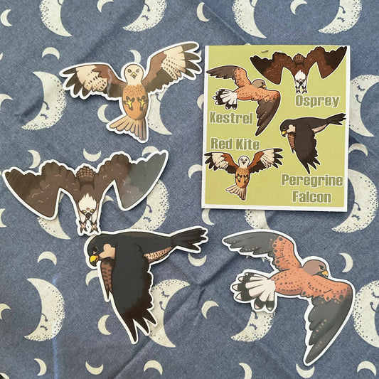 British Bird of Prey Sticker Pack - Peregrine Falcon, Osprey, Red Kite, Kestrel