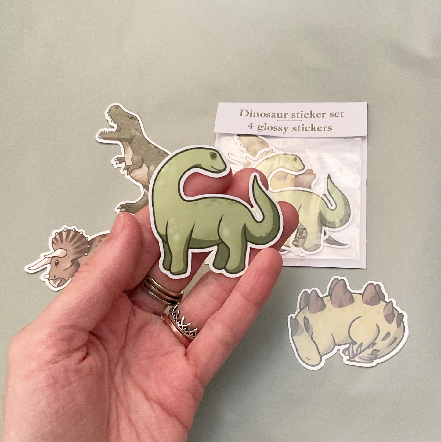 4 Glossy Dinosaur Stickers - Triceratops, Trex, Stegosaurus, Diplodocus